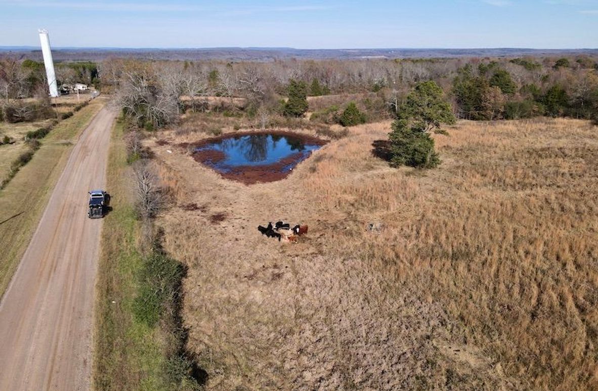 dji_fly_20251130_130536_866_1764615011507_photo