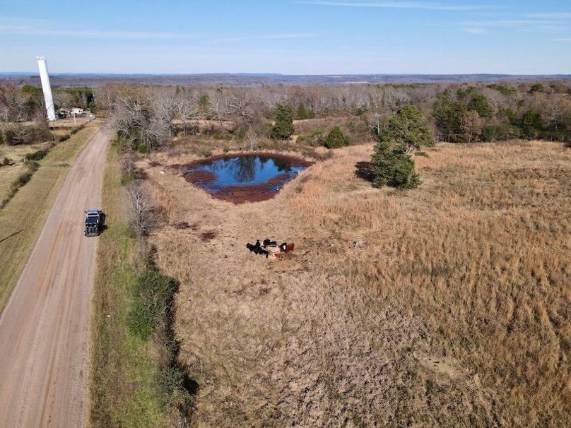 dji_fly_20251130_130536_866_1764615011507_photo