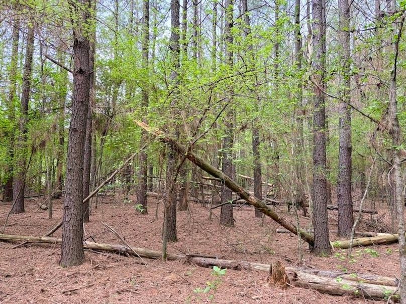 8D4EE399-AC62-48D1-AAE6-8DDBF9E00011_1_105_c