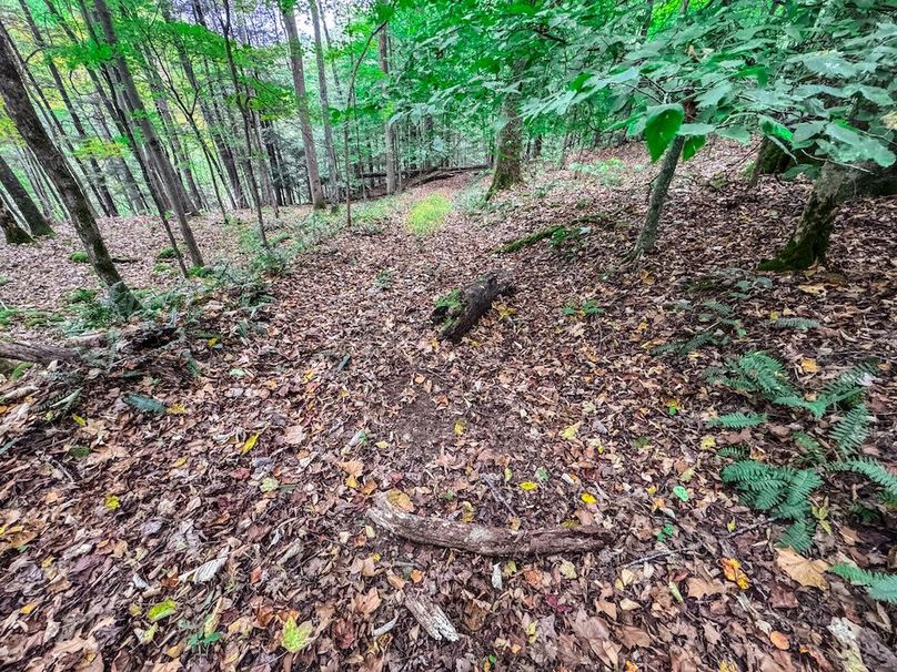 Webster, WV 13.8 AC Heldreth-08