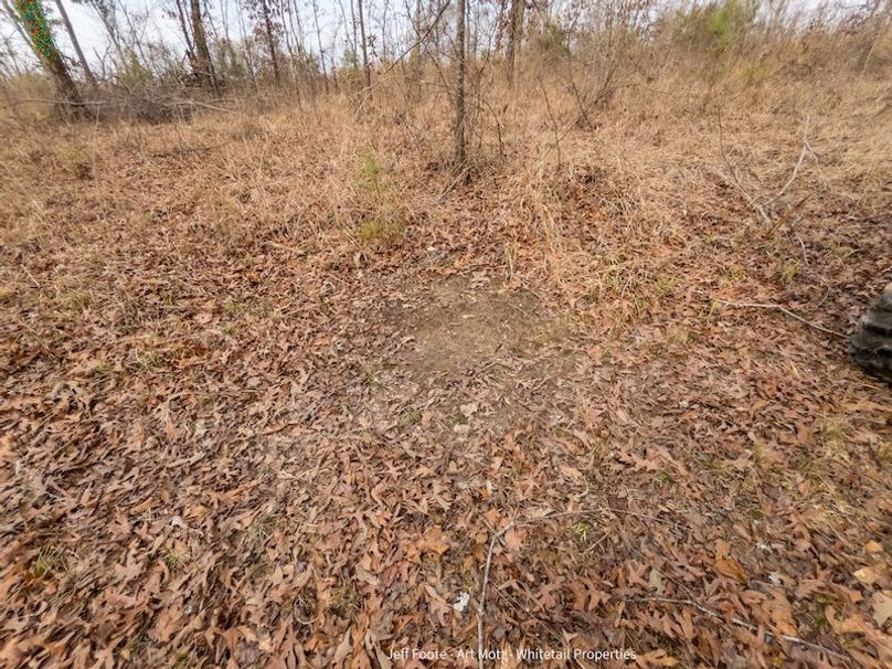 Holmes County - 108 - Rodriguez-64