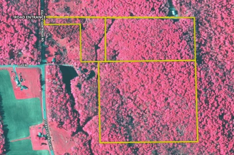 Land ID Infrared