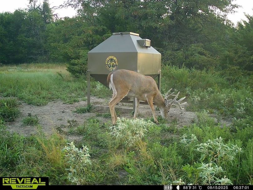 864049055449112-100-2-08152025122605-HD-SYEW1822