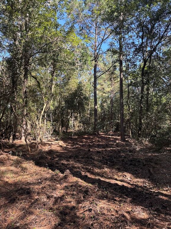 DJI_20251003_104741_039