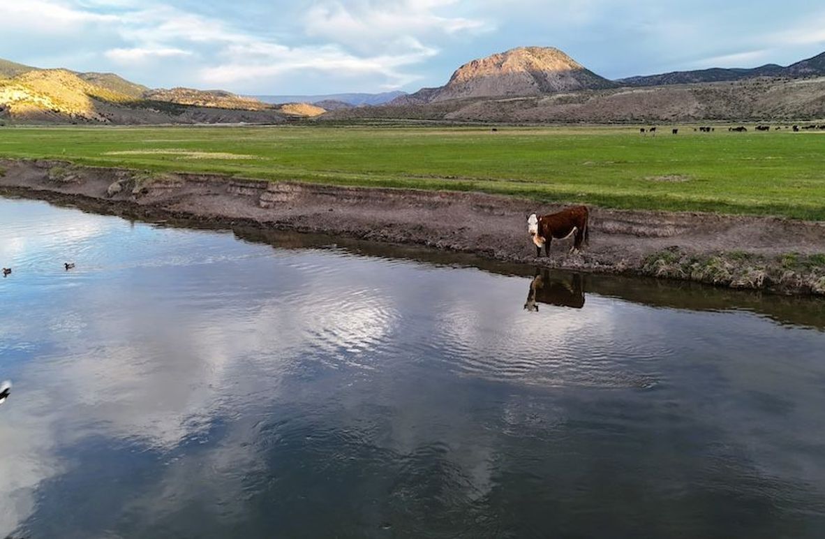 Lucky River Bottom Ranch05