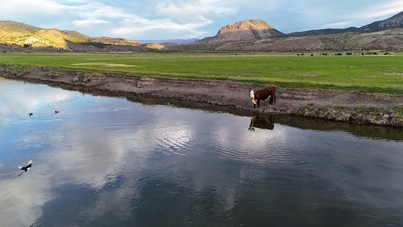 Lucky River Bottom Ranch05
