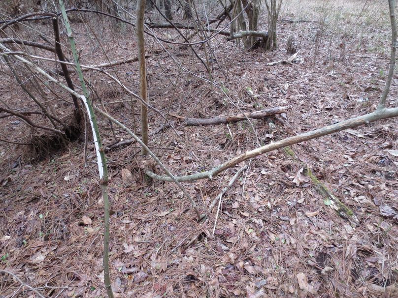 B3225A47-EACA-4A78-B7D1-8EE2AAC41185