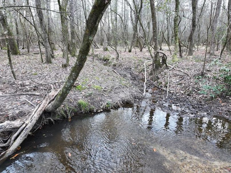 dji_fly_20260220_142556_0272_1771638824808_photo