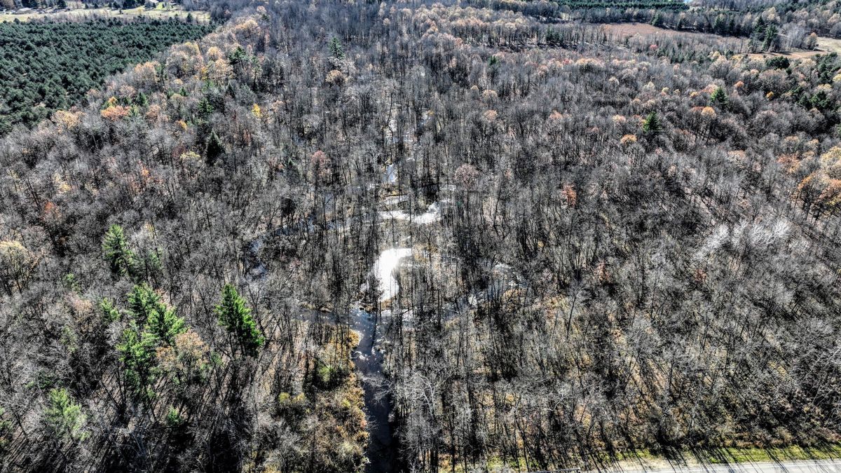 Remote Timbered Property With Trout Stream Good Neighborhood And Option