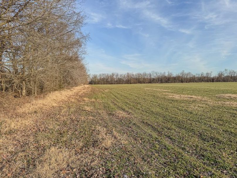 Phillips 8.5 Trahan -12