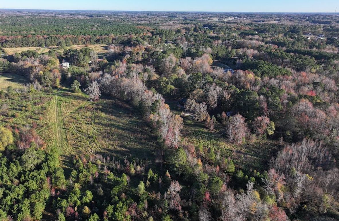 Copy of DJI_20241124090202_0207_D