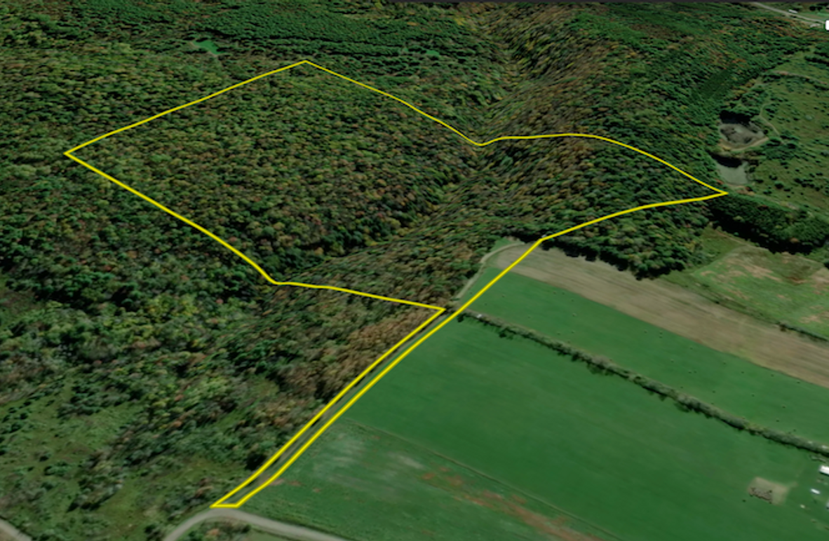 Tioga_59.597_Barnes_Landid_1