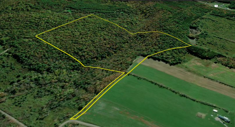 Tioga_59.597_Barnes_Landid_1