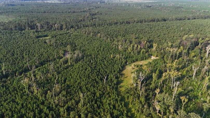 dji_fly_20250903_215848_0021_1756926954057_photo