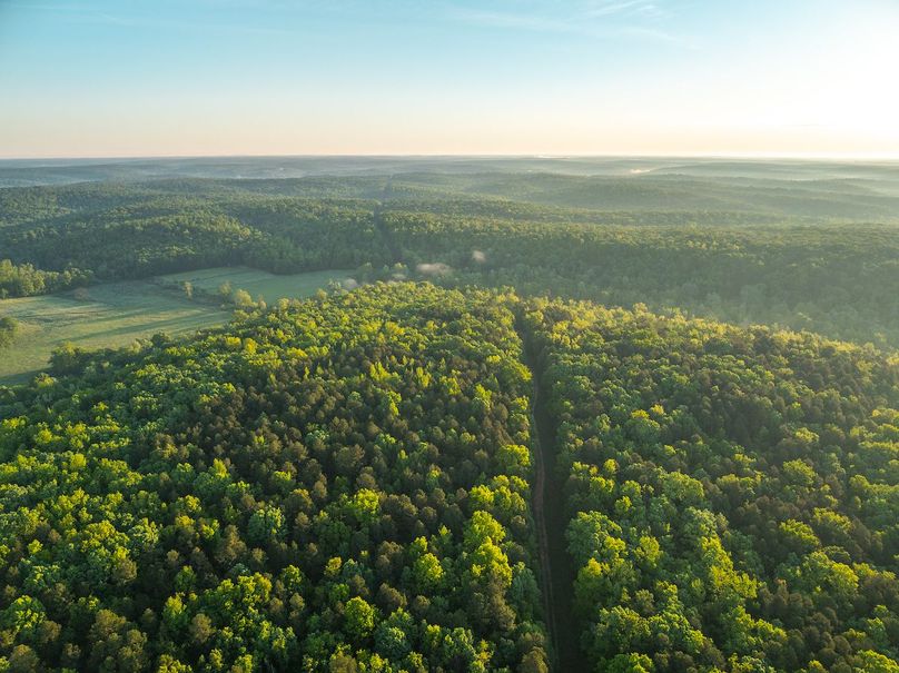 DJI_20250506064643_0134_D
