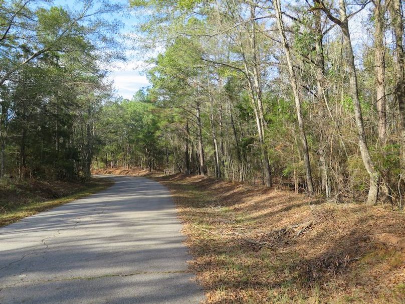 Lauderdale Co - 74 - Gillentine-13