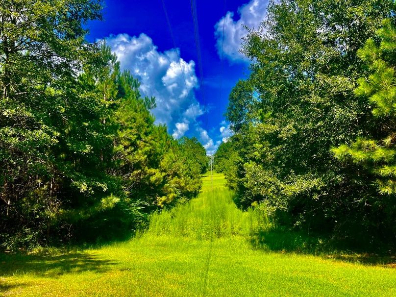 EF29B922-FF24-4EF5-9FF8-074B7C827718_1_201_a