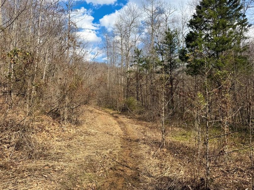 016 trails leading up into the hollows-2