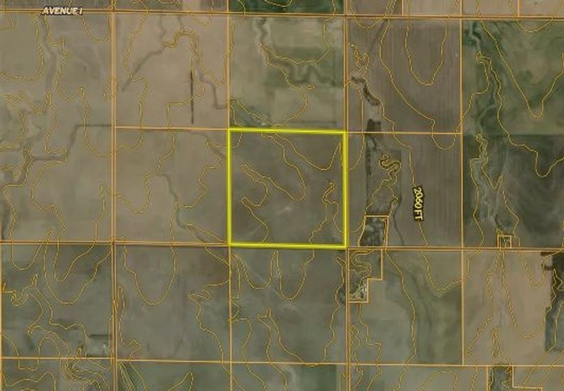 Aerial Topo