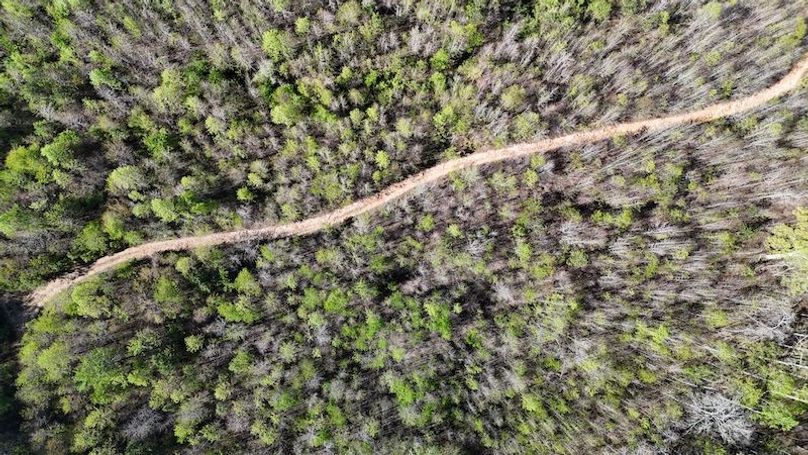 DJI_20250416102559_0108_D