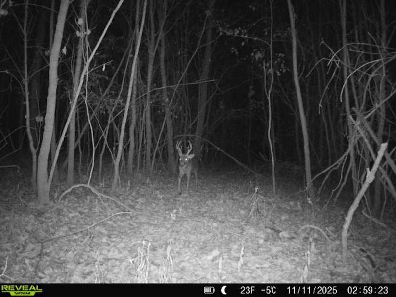 860516067504427-1-2-11112025025924-V-W1002655