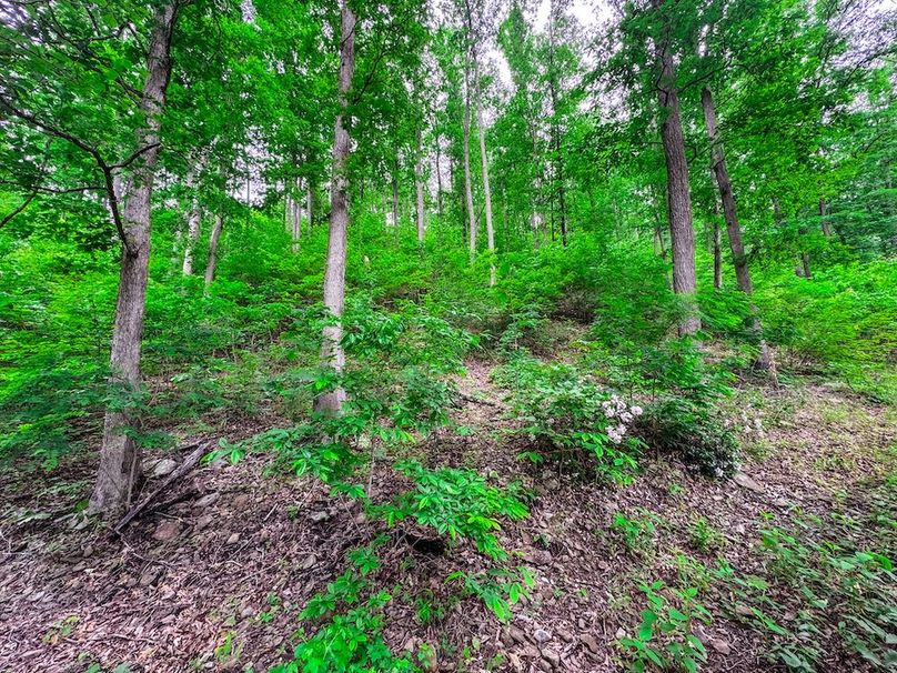 Clay, WV 14.839 AC-12