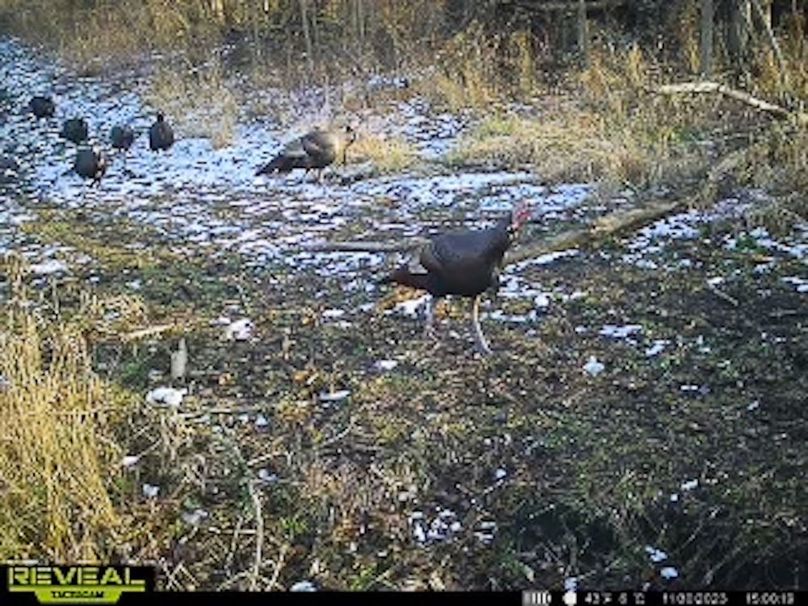 865509050473705-100-4-11302023150040-W1004186