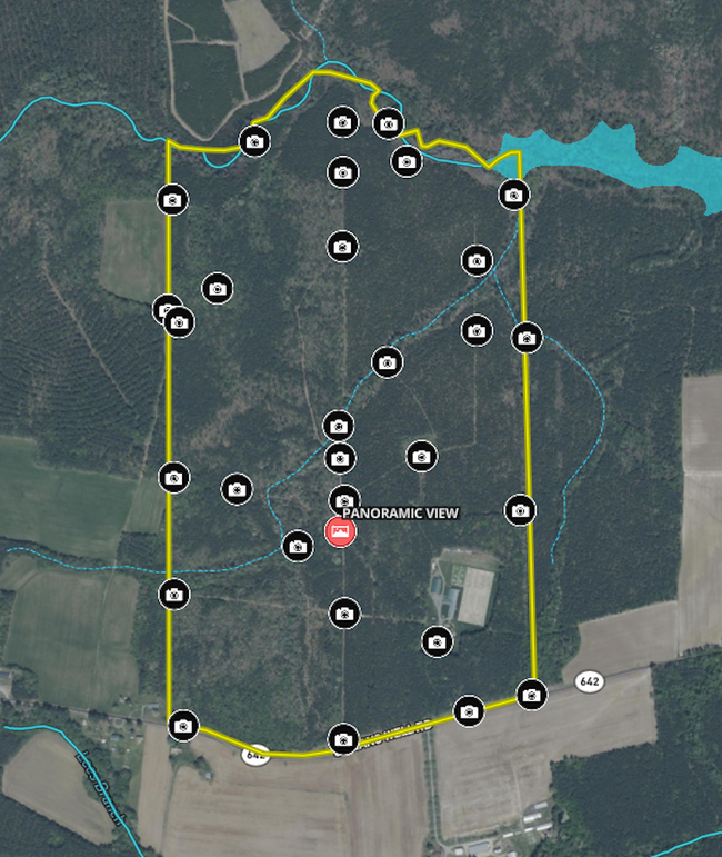 Aerial - Custom Features