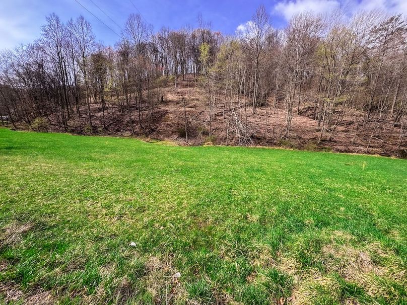 Ritchie, WV 206.08 AC Curriden-71