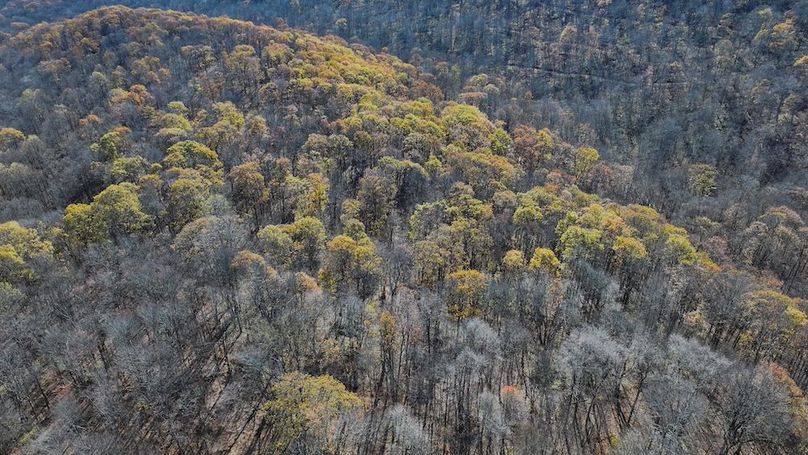 Somerset, 10.91, Tinkey-14