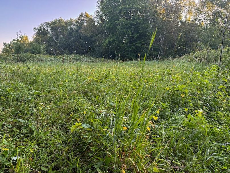 Pantzke Ground Photos-05