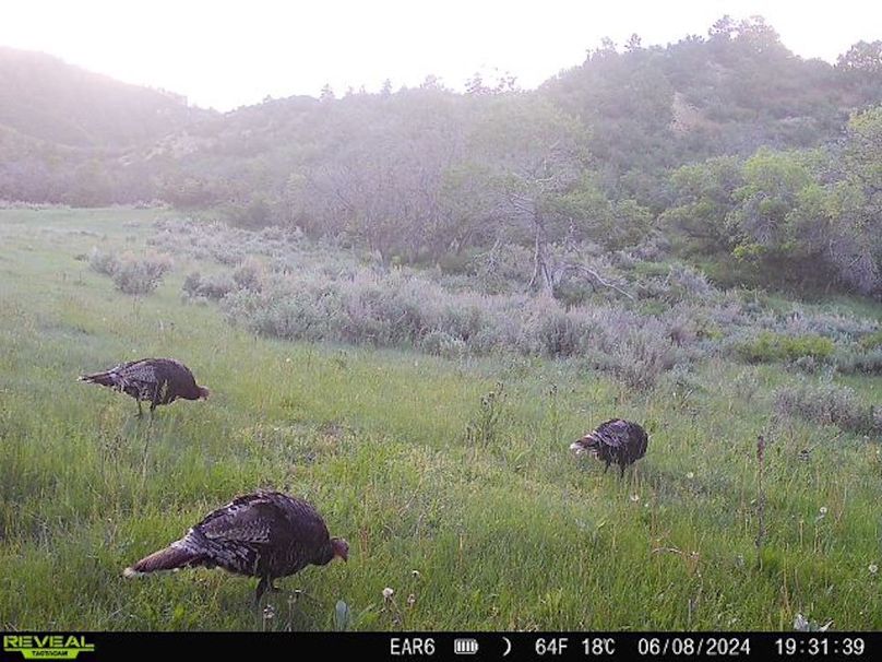 Copy of 868032066947726-70-3-06082024193140-W1004589