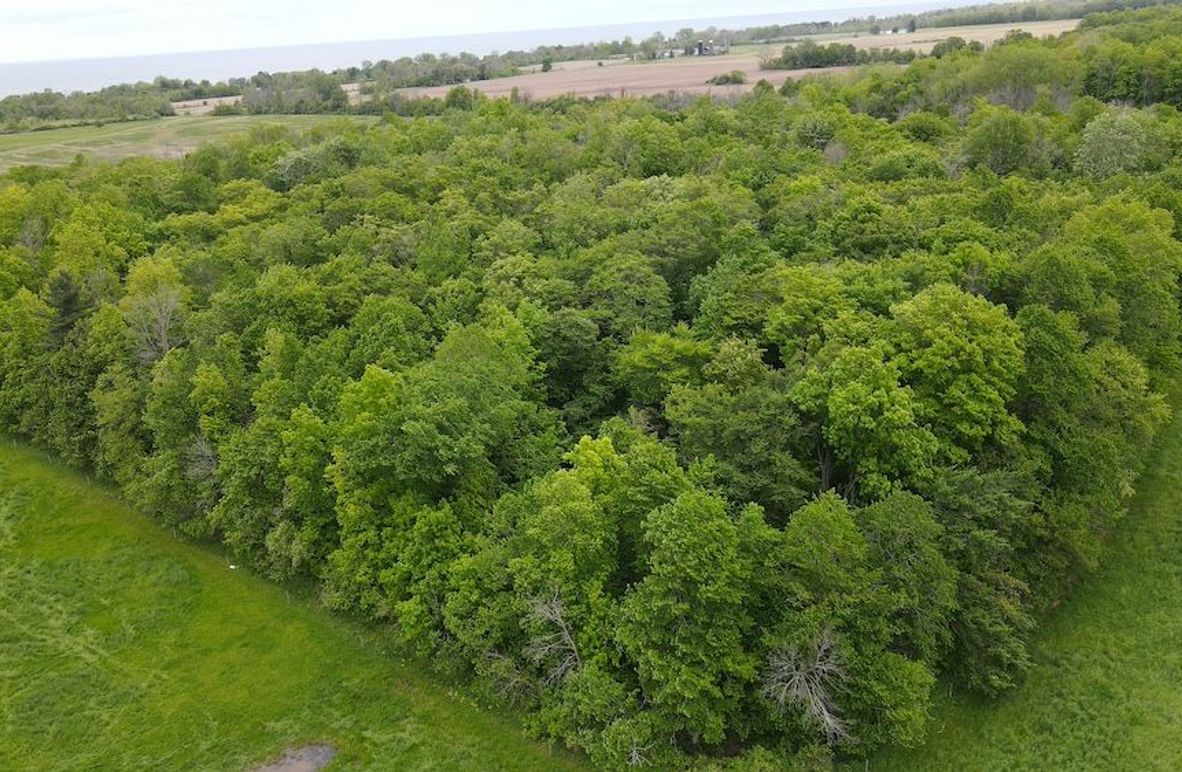 3 dji_fly_20250531_173138_25_1748727109751_photo