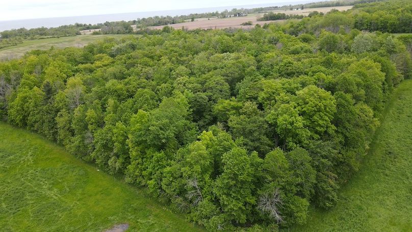 3 dji_fly_20250531_173138_25_1748727109751_photo