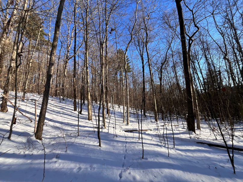 Tioga_11.9_Kilroy_Photos_28