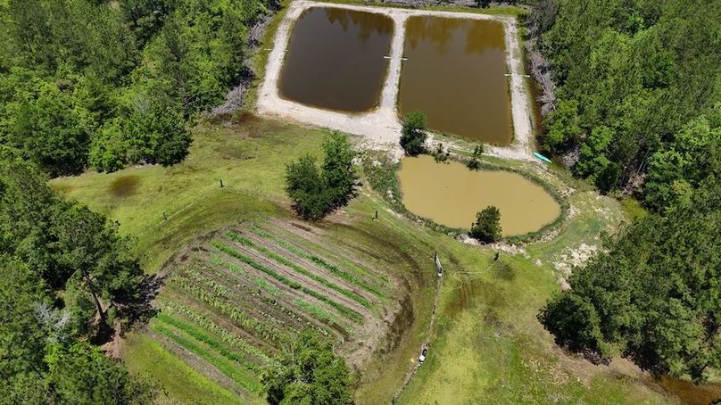 DJI_20240516124859_0033_D