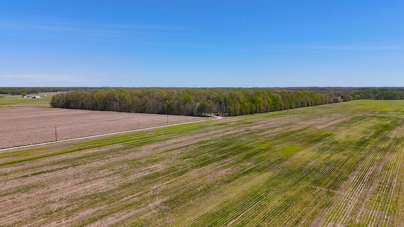 DJI_20250423125035_0391_D