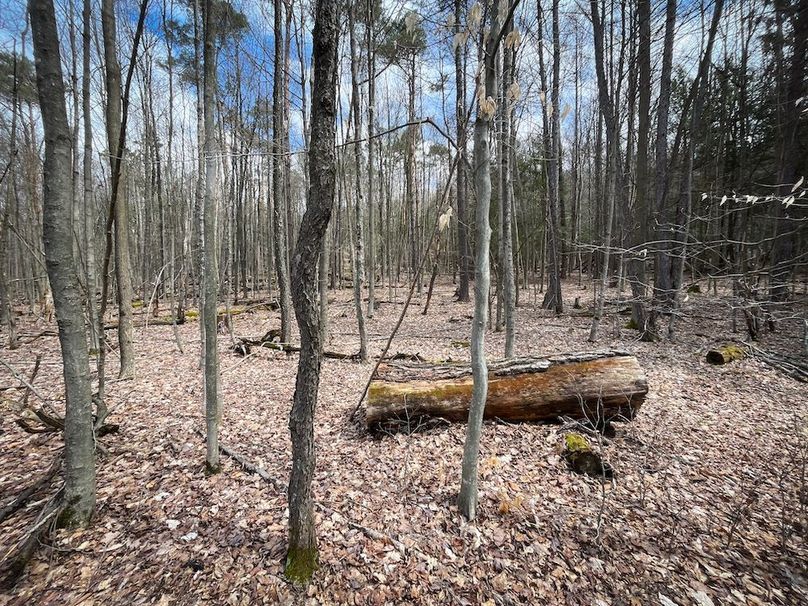 Tioga__NY_109.7_Burris_Photos_75