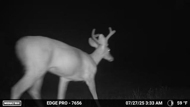 Temp_1449641-20250727073343-pir_20250727_033315_1_15_1