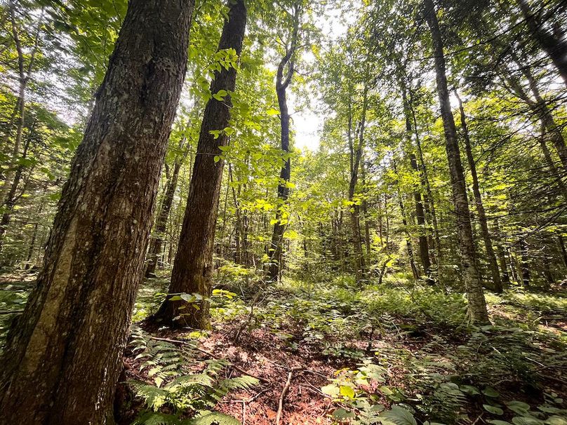 Oswego_100_Roof_Photos_37