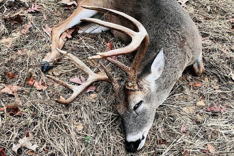 CB8F17D4-DAA8-4351-BA4D-B81F9CA9E1CB