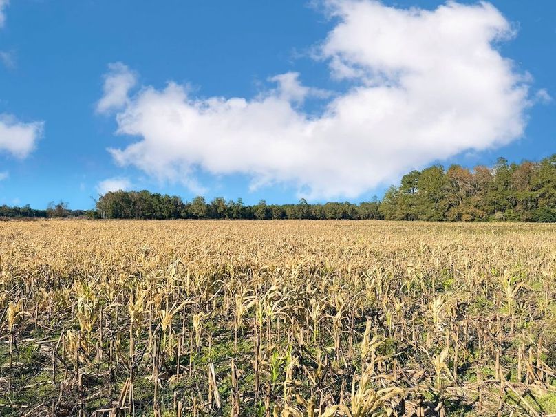 75322FE6-F516-4F28-923A-BC76555EFA07