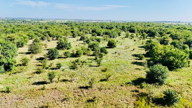 dji_fly_20250728_093930_0051_1753739695433_photo