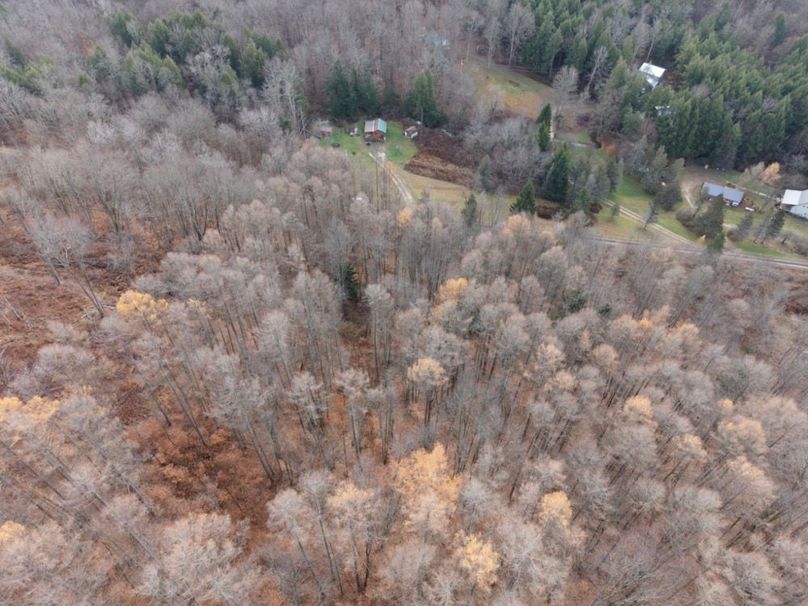 DJI_20251122115331_0072_D