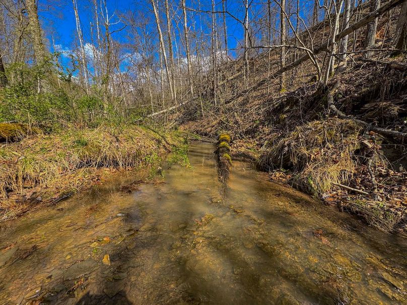 Wirt, WV 156.941 AC Full-30