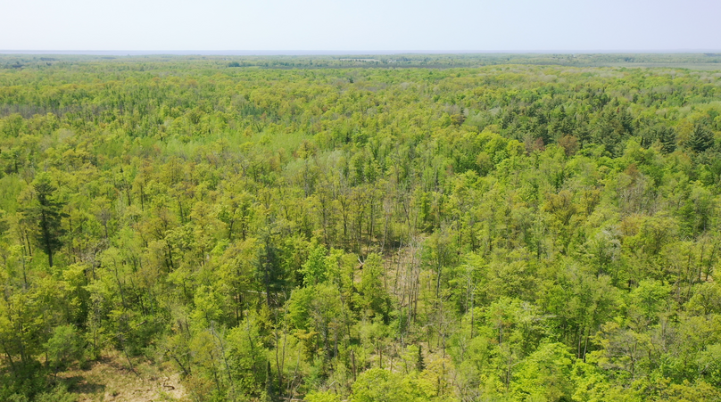 Screenshot 2023-05-25 at 2.44.13 PM