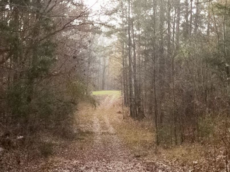 Claiborne Co - 274 - Marian-014