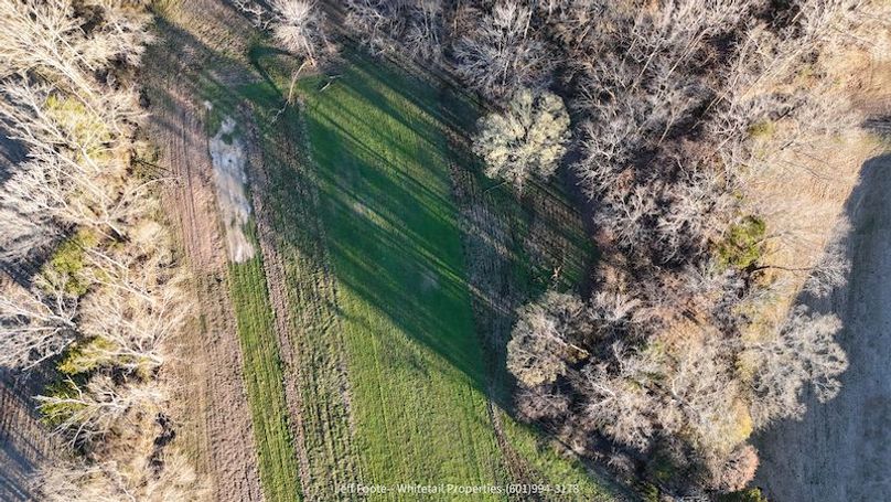 Hinds Co - 53.51 - MT Beasley-27