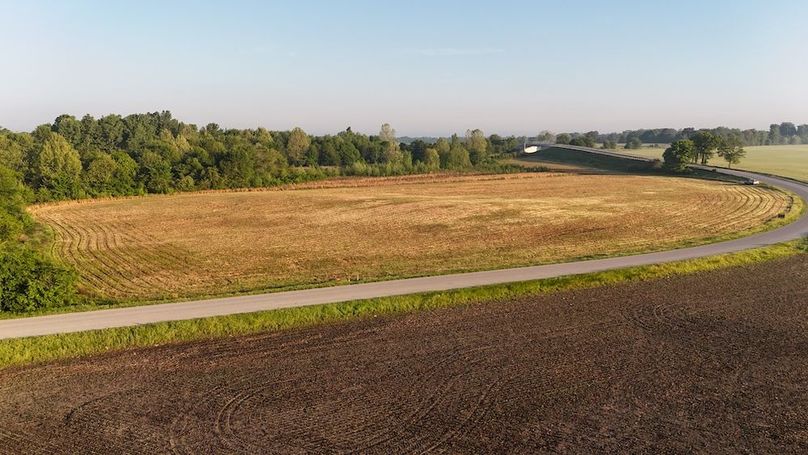dji_fly_20250514_073940_0128_1747222919324_photo