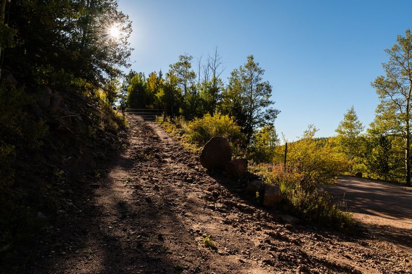 Teller Co 4.65 Thomas - 02 Driveway